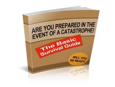 The Basic Survival Guide